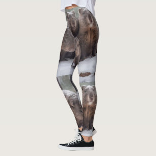 Fryst Burrow: Australian Wombat Family, Leggings