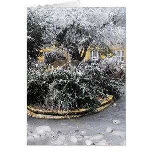 Fryst damm på vintern morgon hälsningskort
