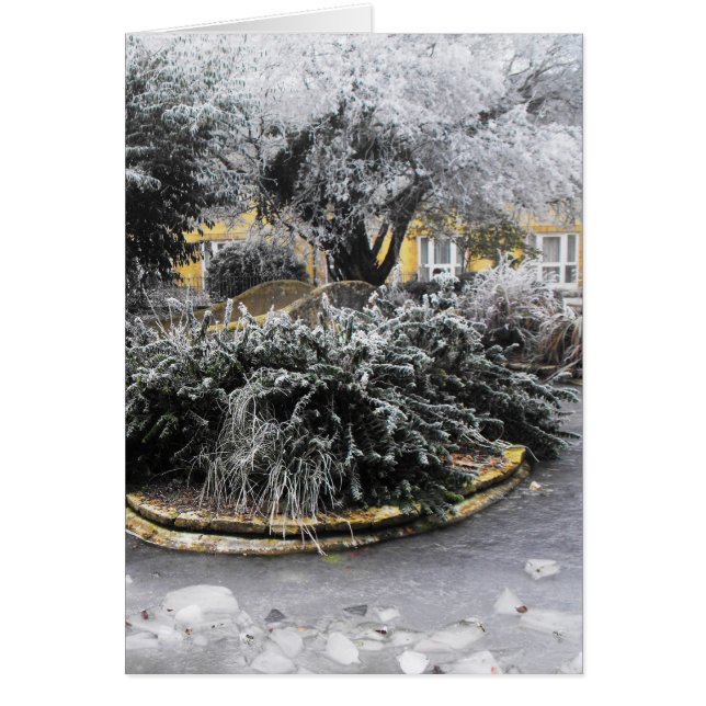 Fryst damm på vintern morgon hälsningskort (Framsidan)