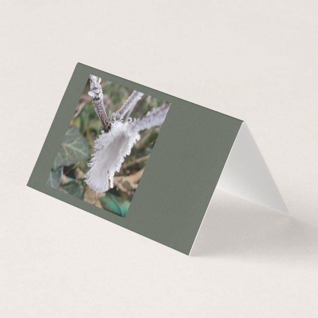 Fryst fjäder kort (Framsida)