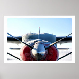 Fryst flygplan poster