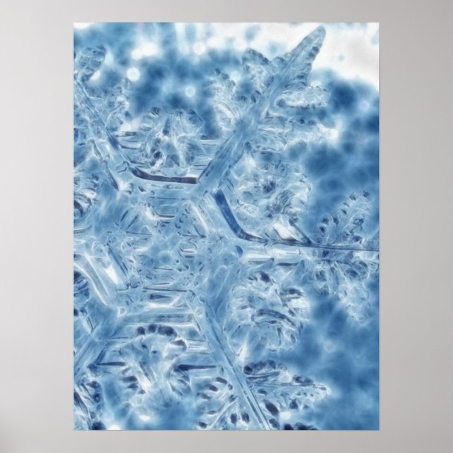 Fryst issmuts-snöflingor, Crystal Fractal, Crystal Poster (Framsidan)