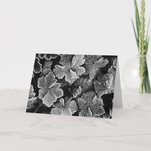 Fryst julkort för Löv Helgkort (Framsida)