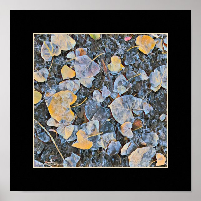 Fryst Löv Poster (Framsidan)