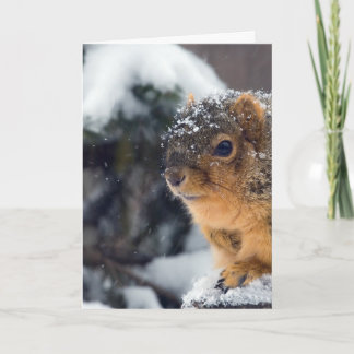 Fryst Nöt kommer snart Kort