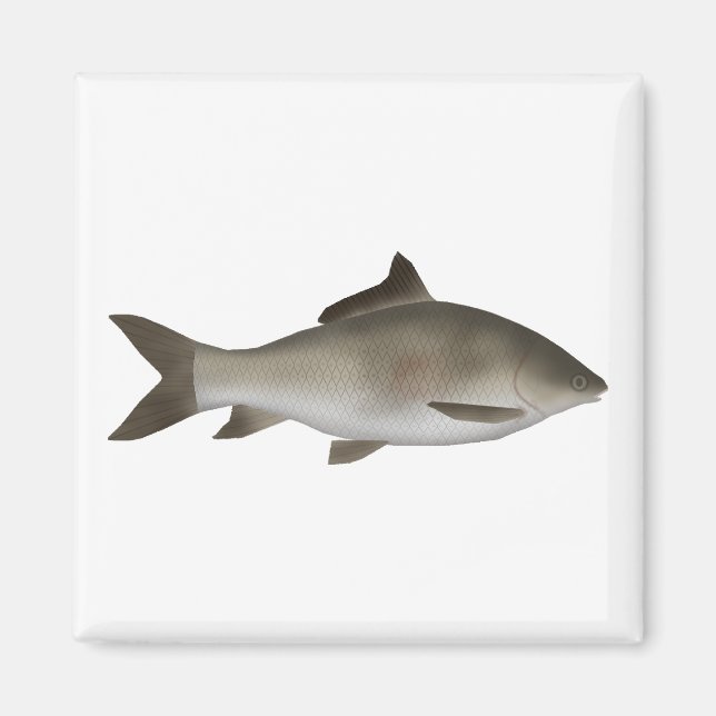 Fryst Peninsula Magnet (Framsidan)