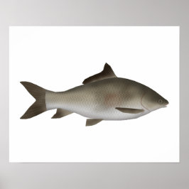 Fryst Peninsula Poster