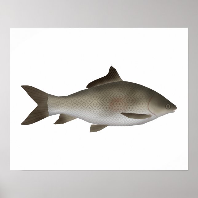 Fryst Peninsula Poster (Framsidan)