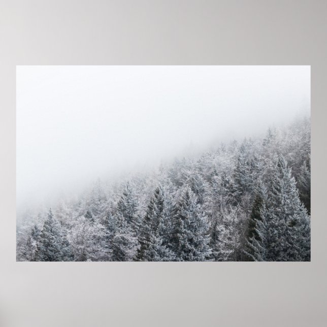 Fryst skog poster (Framsidan)