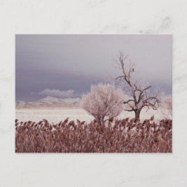 Fryst vy över Antelope Island - Utah - vykort