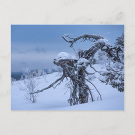 Fryst vykort för träutlänningar