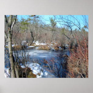 Fryst Wetlands Pond Poster