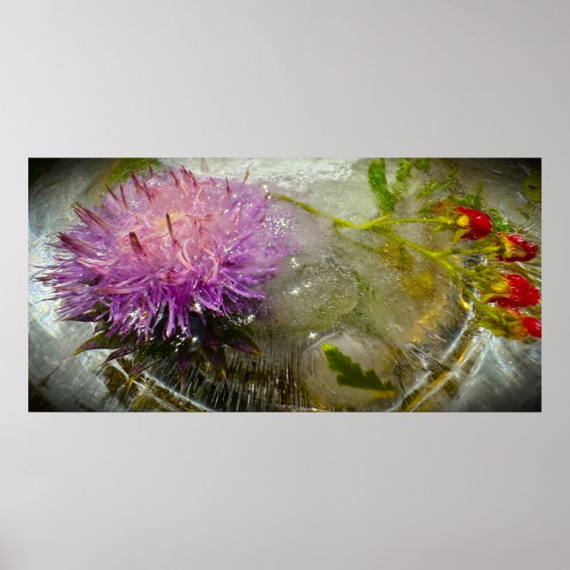 Frysta Blommor,  Poster (Framsidan)