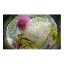 Frysta Blommor, 