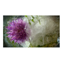 Frysta Blommor, 