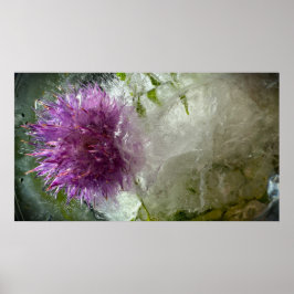 Frysta Blommor, Poster