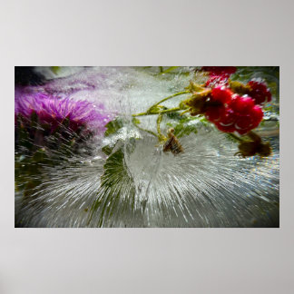 Frysta Blommor,  Poster