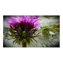 Frysta Blommor, 