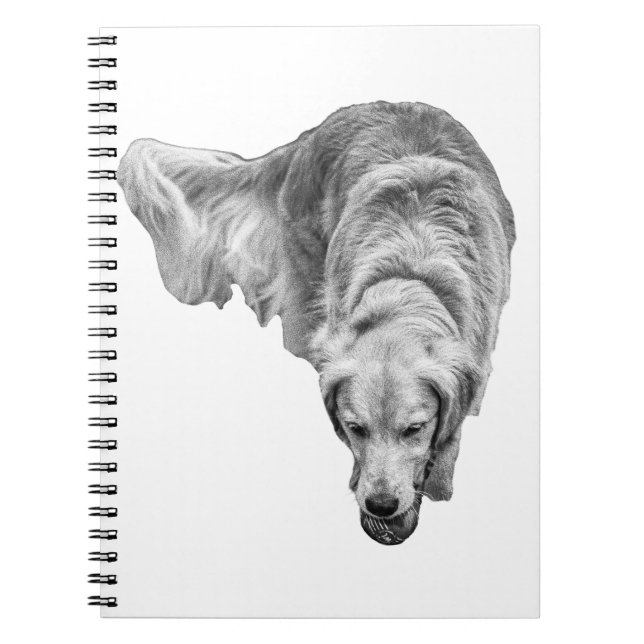 Frysta gryningsreflektioner anteckningsbok (Framsidan)