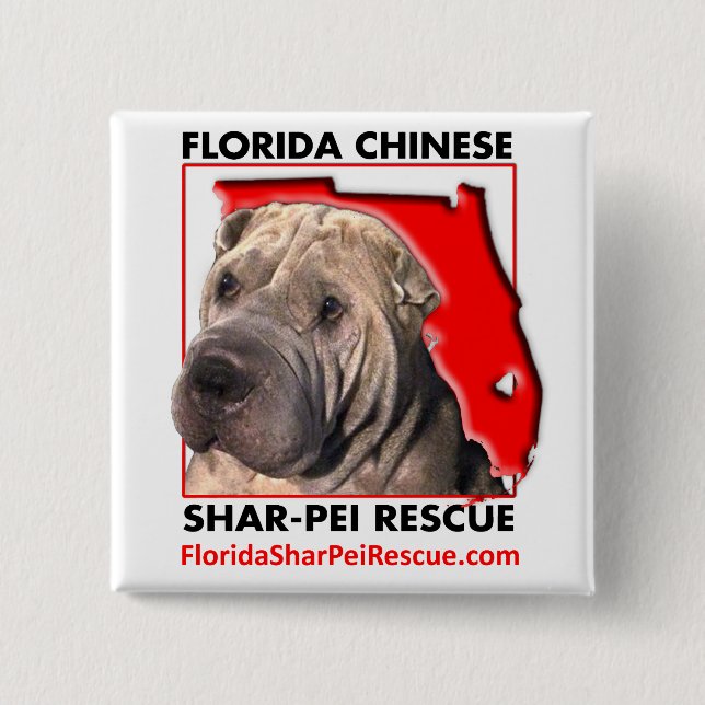 FSPR 2 flytta sig mycket långsamt kvadrerar Knapp (Framsida)