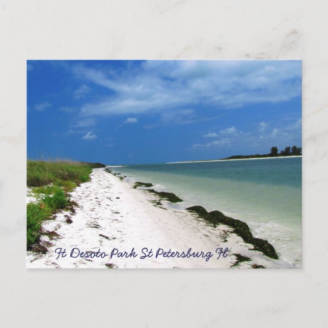 Ft Desoto St Petersburg Fl-vykort Vykort (Framsida)