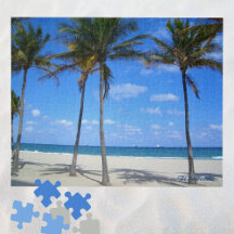 Ft Lauderdale Beach Florida Sand Handflatan Träd O