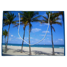 Ft Lauderdale Florida Sand Beach & Handflatan Träd