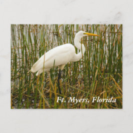 Ft. Myers vykort