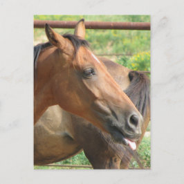 Fttttttttttttton!!!! Vykort