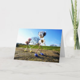 Fubby die madeliefjes plukken. tack kort