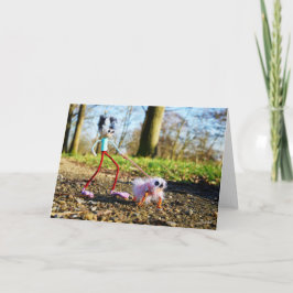 Fubby die zijn hondje uitlaat. tack kort