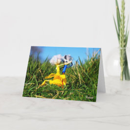 Fubby poppetjes die dansen in het gras. tack kort