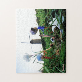 Fubby's bij een molen planten een krokus bol. pussel