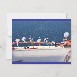 Fubby's die een lijn lieren van een Zeilboot. Vykort