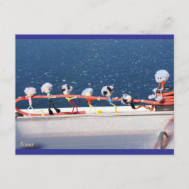 Fubby's die een lijn lieren van een Zeilboot. Vykort