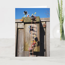 Fubby's die een vogelhuis beklimmen. kort