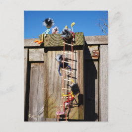 Fubby's die een vogelhuis beklimmen. vykort