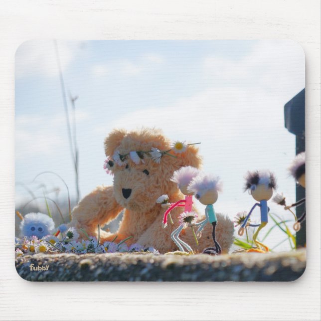 Fubby's die madeliefjes naar een Beer brengen. Musmatta (Framsidan)