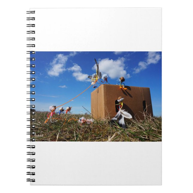 Fubby's die spelen met veren en vliegen. anteckningsbok (Framsidan)