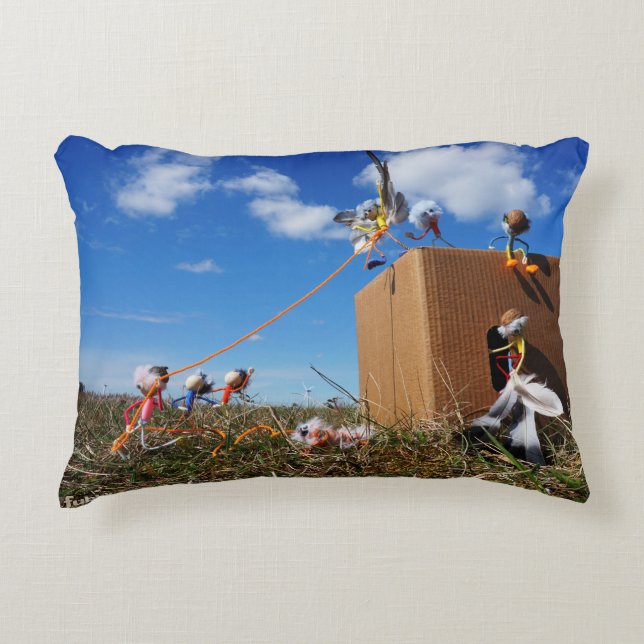 Fubby's die spelen met veren en vliegen. prydnadskudde (Framsidan)