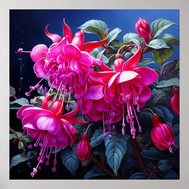 fuchsia akvarell Poster (Framsidan)