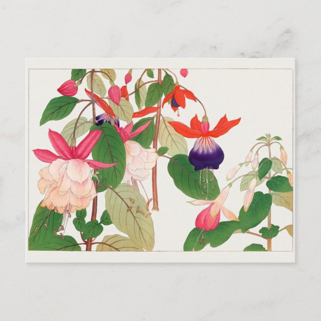 Fuchsia av Tanigami Konan Vykort (Framsida)