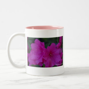 Fuchsia Azaleasmugg Två-Tonad Mugg