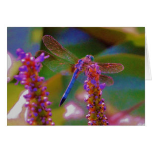 Fuchsia-blomman och drakflygning hälsningskort