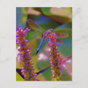 Fuchsia-blomman och drakflygning vykort