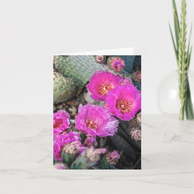 Fuchsia Cactus Flowers Note Card Tack Kort (Framsida)