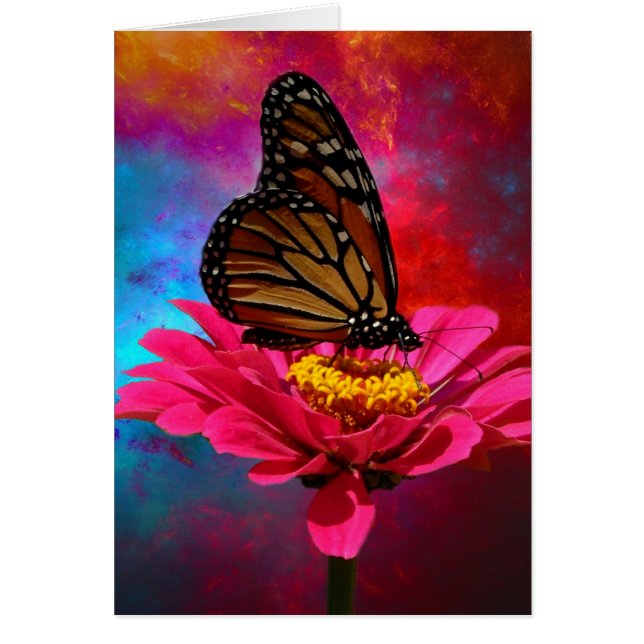 fuchsia fjäril för bohem för daisyturkoskricka hälsningskort (Framsidan)