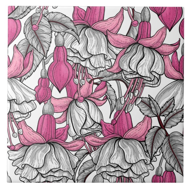 Fuchsia i vitt och rosa kakelplatta (Framsidan)