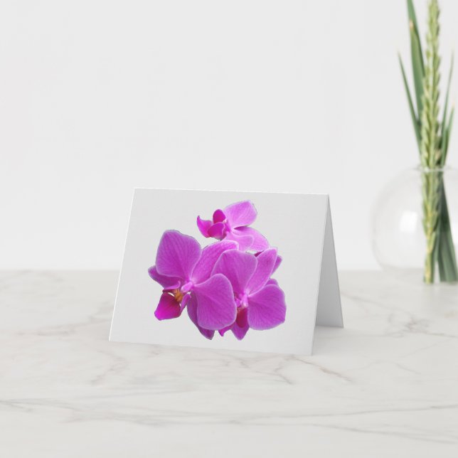 Fuchsia moth orchips på ett tackkort (Framsida)