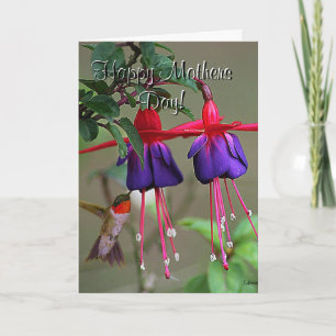Fuchsia- och Hummingbirdmors dag Kort